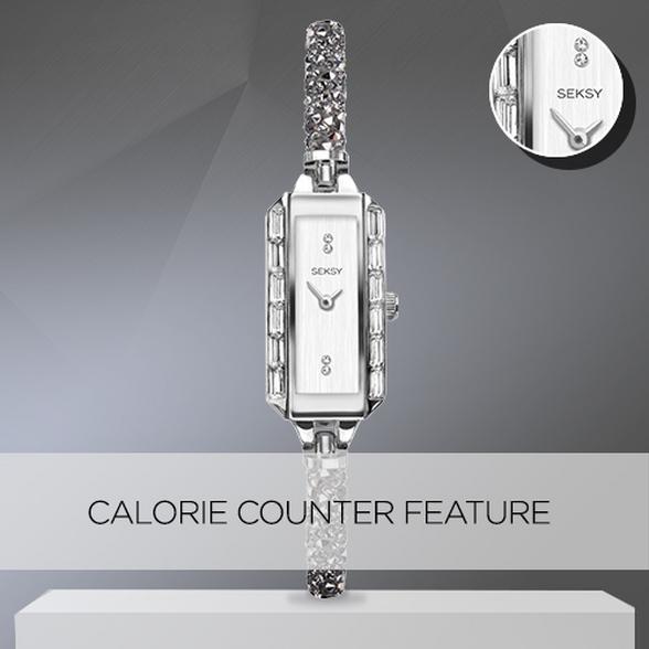 calorie counter